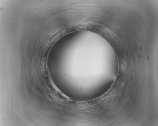 X0000059240964200510281926