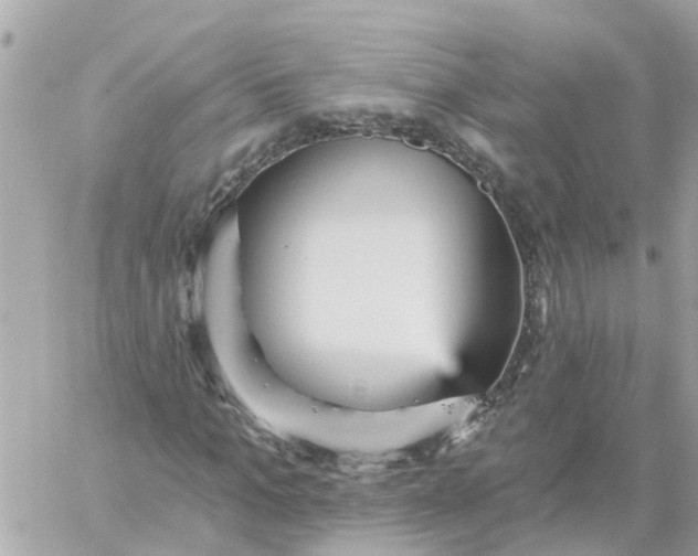 X0000059240965200510281926