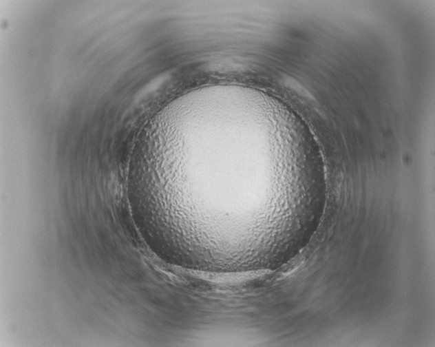 X0000059240966200510281926