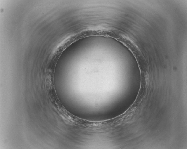 X0000059240968200510281926