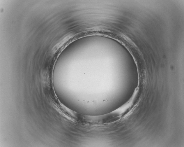 X0000059240969200510281926