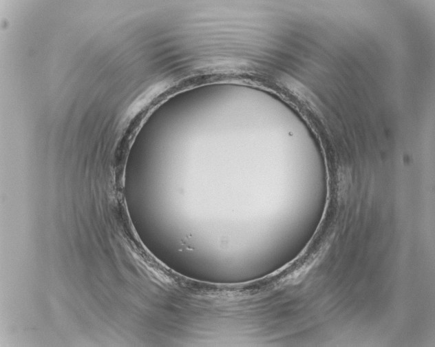 X0000059240970200510281926