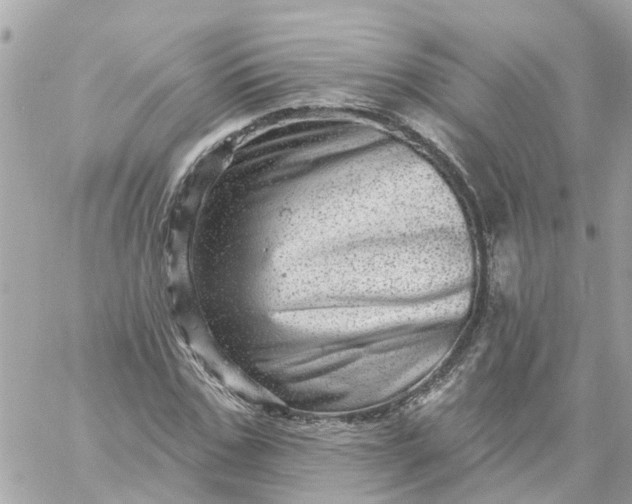 X0000059240971200510281926