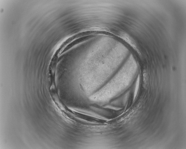 X0000059240972200510281926