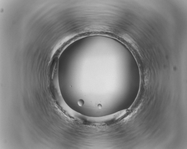 X0000059240973200510281926