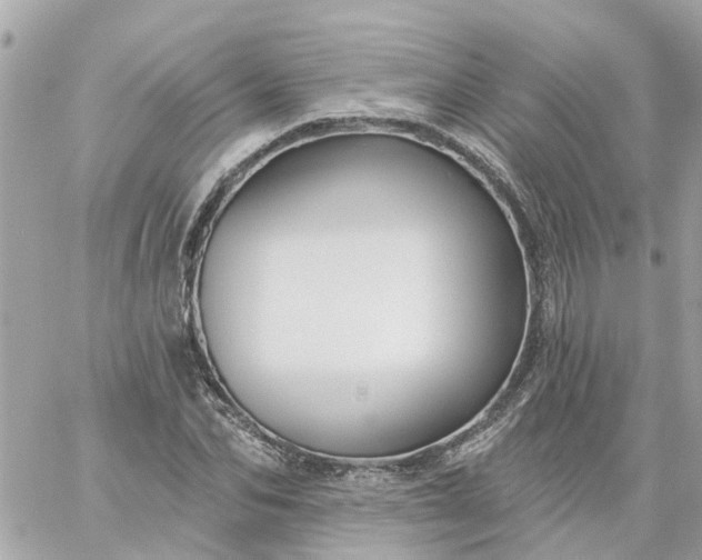 X0000059240974200510281926