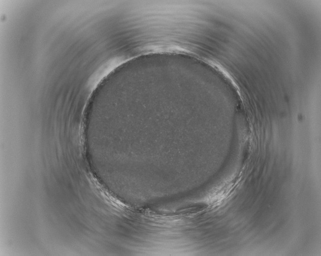 X0000059240975200510281926