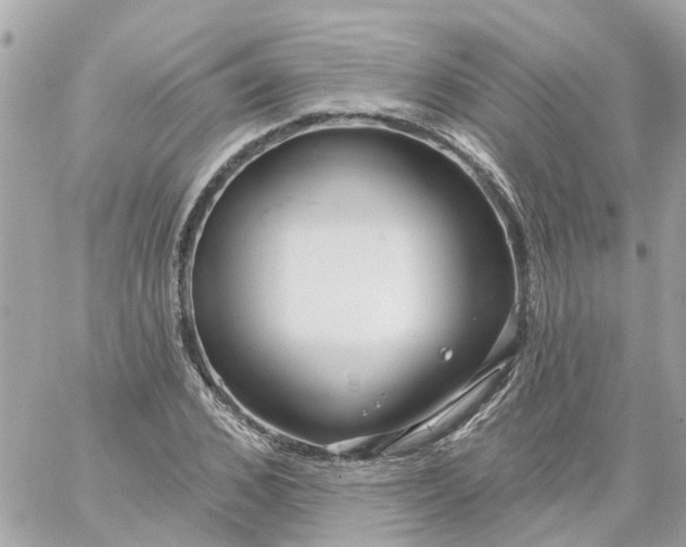 X0000059240976200510281926