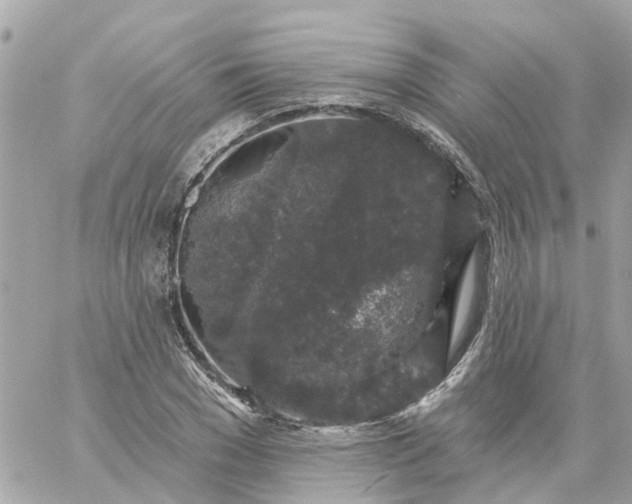 X0000059240977200510281926