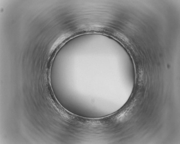 X0000059240978200510281926