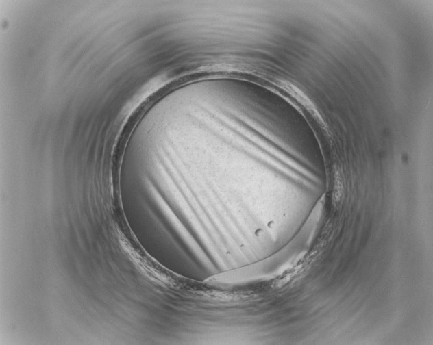 X0000059240980200510281926