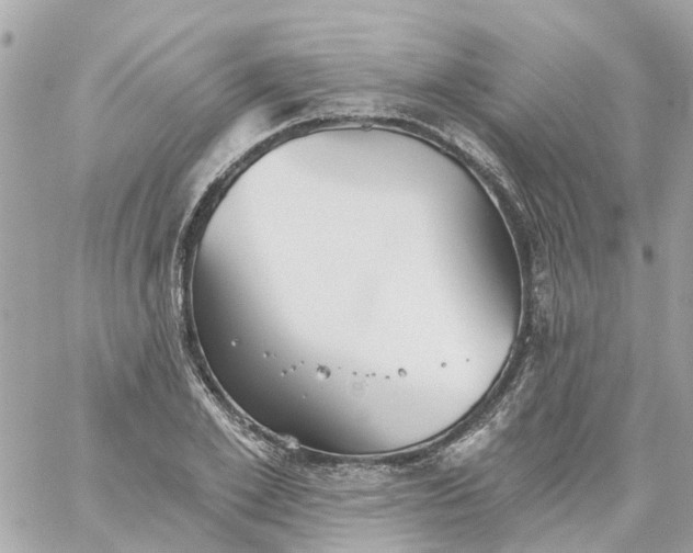 X0000059240981200510281926