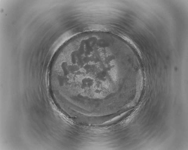 X0000059240983200510281926