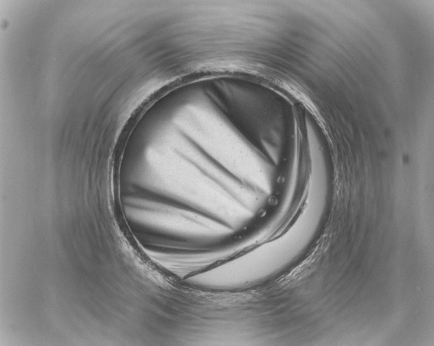 X0000059240984200510281926