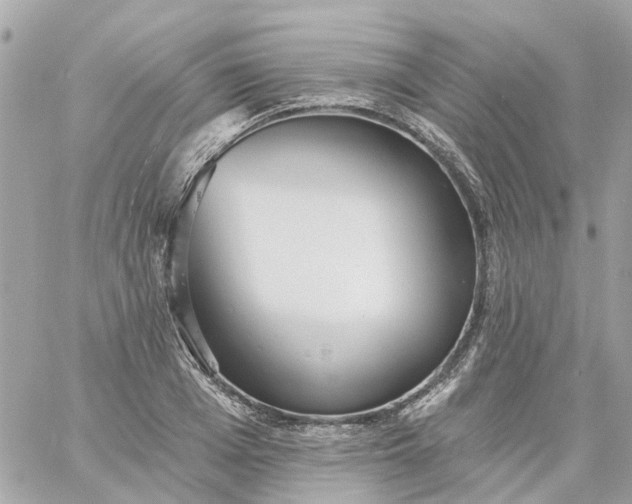 X0000059240985200510281926