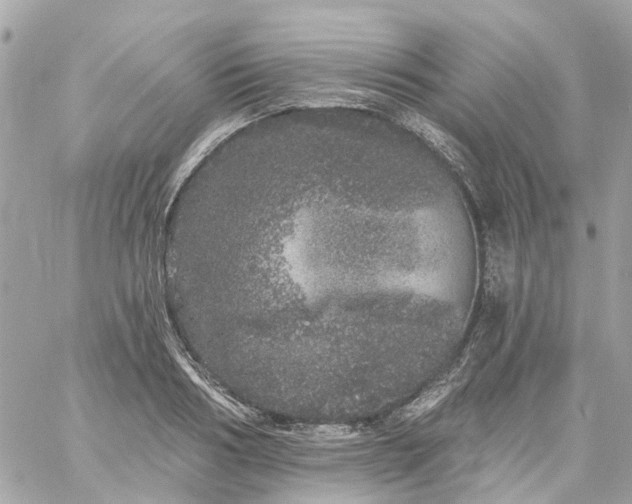 X0000059240986200510281926