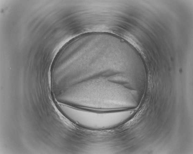 X0000059240988200510281926