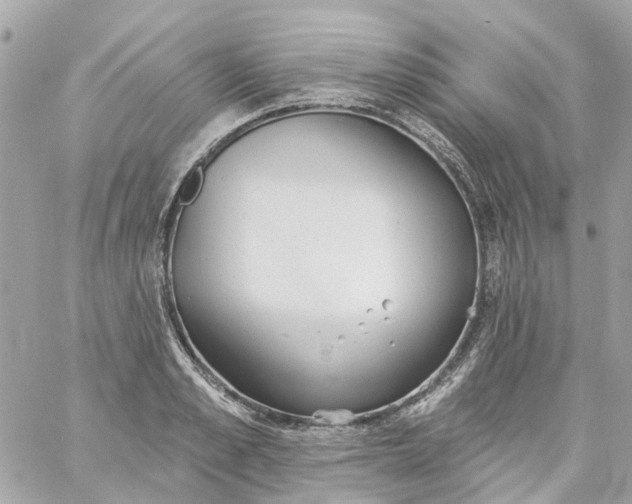 X0000059240989200510281926