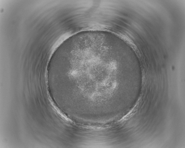 X0000059240990200510281926