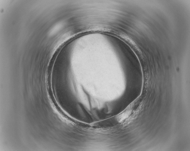 X0000059240991200510281926