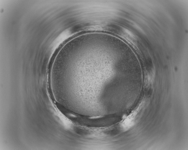 X0000059240992200510281926