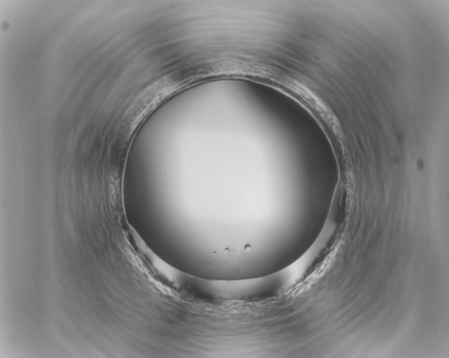 X0000059240993200510281926