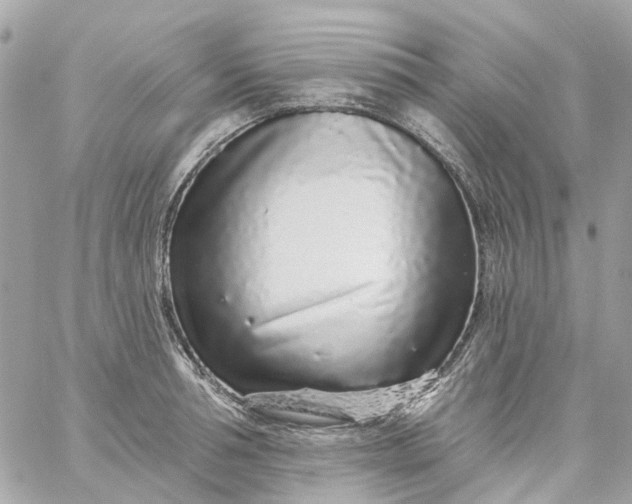 X0000059240994200510281926