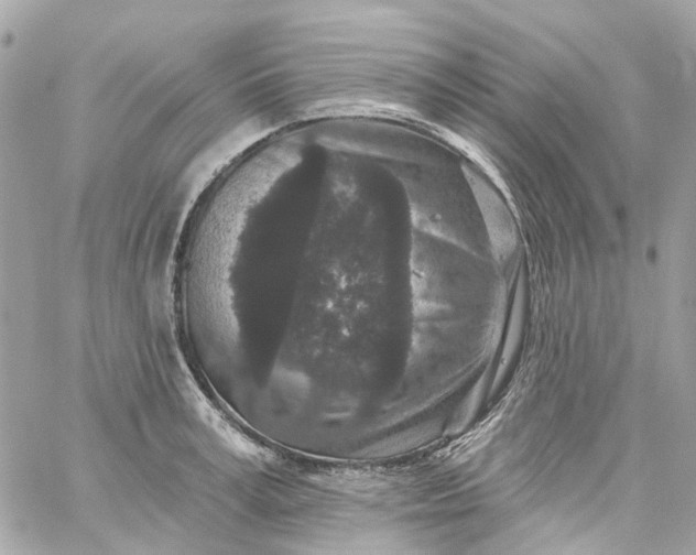 X0000059240995200510281926