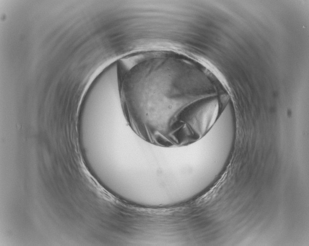 X0000059240996200510281926