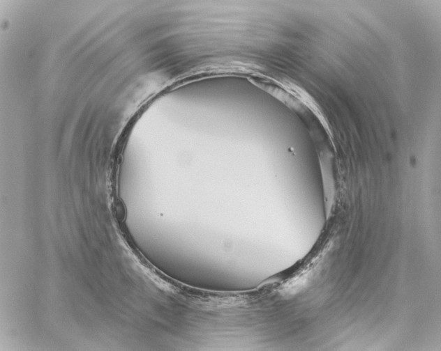 X0000059240997200510281926