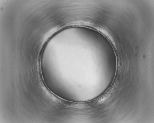 X0000059240998200510281926