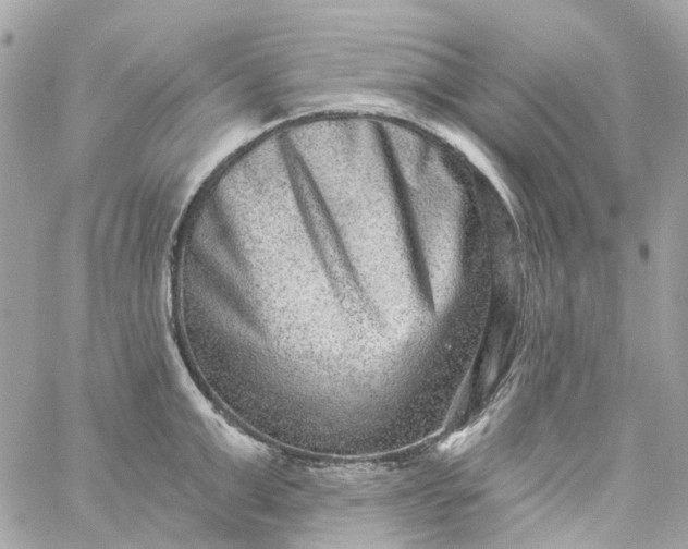 X0000059240999200510281926