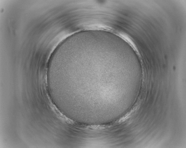 X0000059241000200510281926