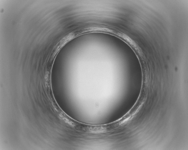 X0000059241001200510281926