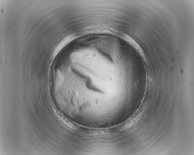 X0000059241002200510281926