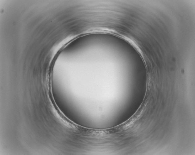 X0000059241003200510281926