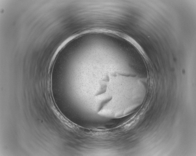 X0000059241004200510281926