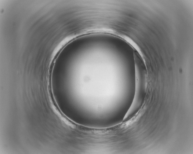 X0000059241005200510281926