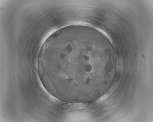 X0000059241007200510281926