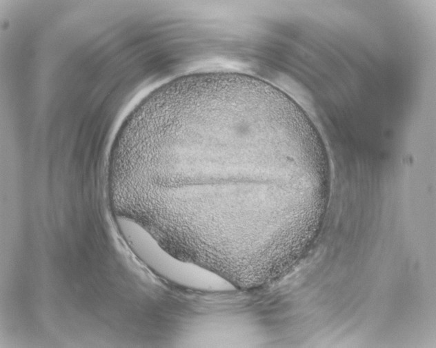 X0000059241008200510281926