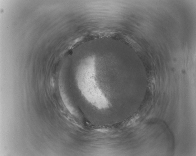 X0000059241010200510281925