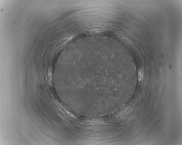 X0000059241011200510281925