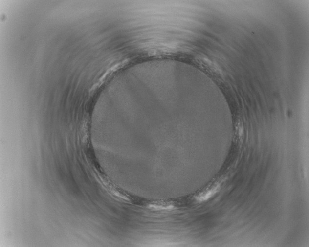 X0000059241012200510281925