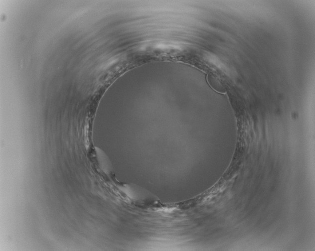 X0000059241013200510281925