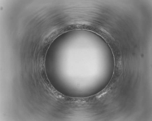 X0000059241014200510281925