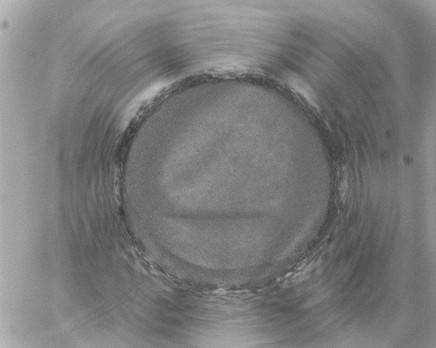 X0000059241016200510281925