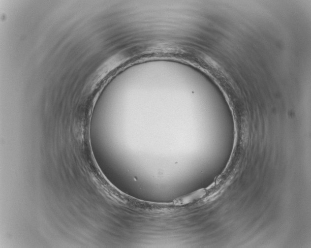 X0000059241017200510281925