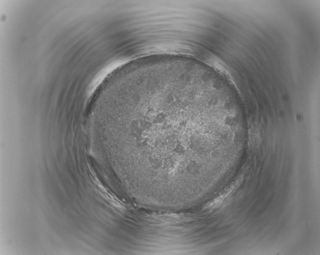 X0000059241019200510281925