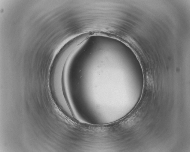 X0000059241020200510281925