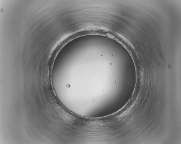 X0000059241021200510281925